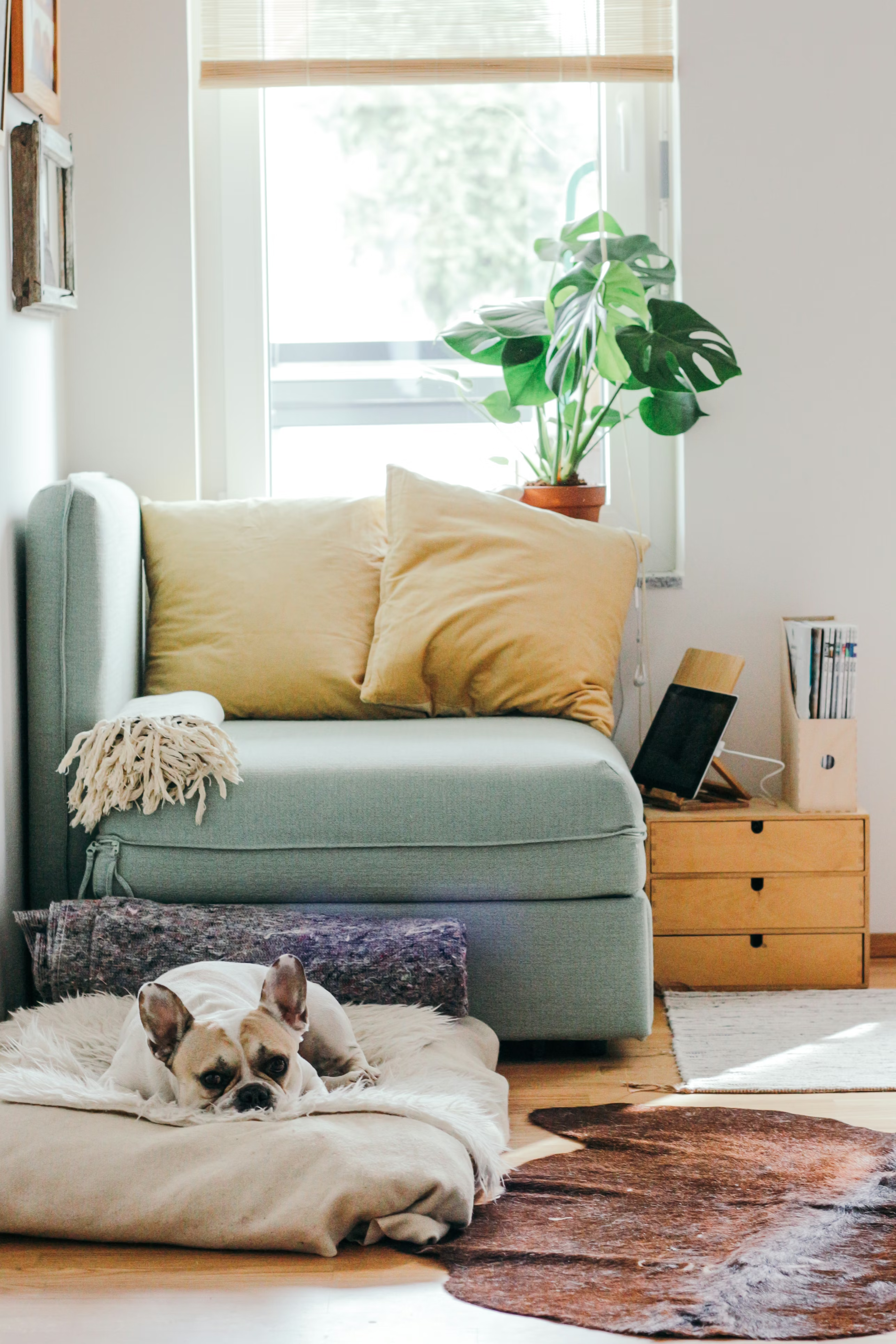 New furniture collection 2025