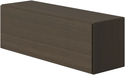 Lugano wall mounted cabinet with drop down door